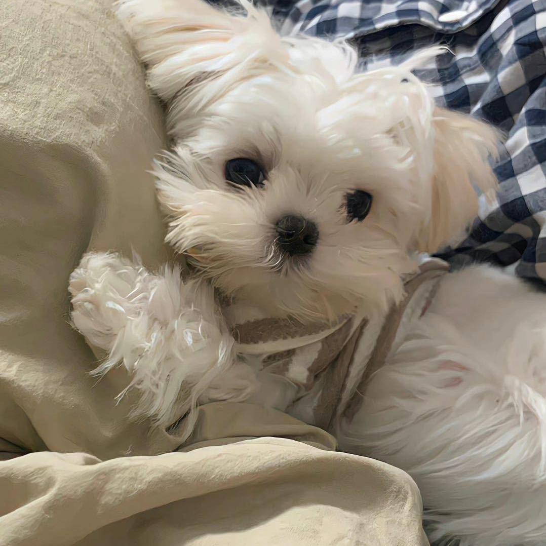 Wink.