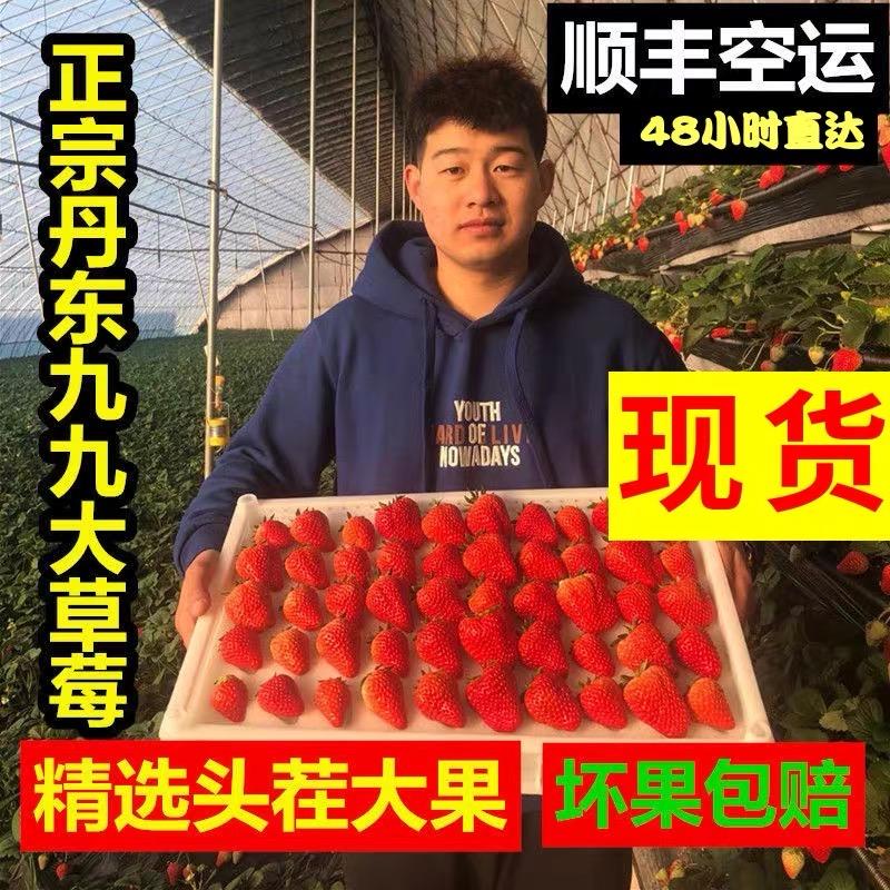 丹东阿金水果（丹东99草莓🍓熟了）
