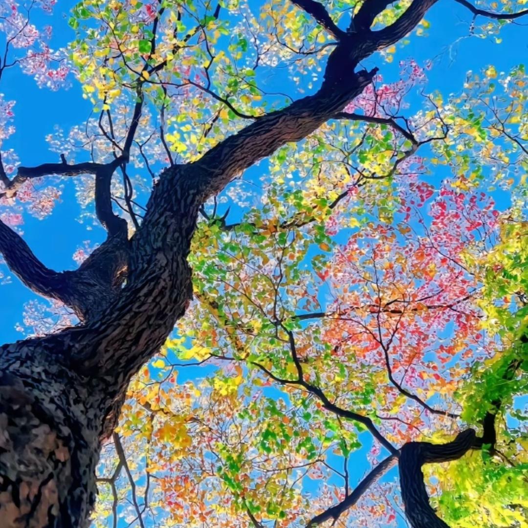 陇上爱玩