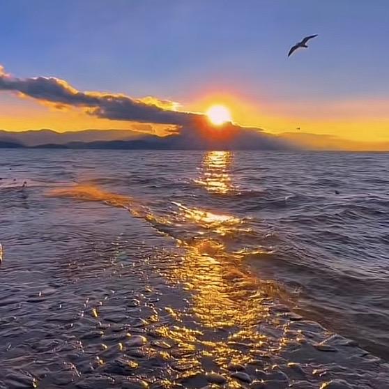 电器好物严选店