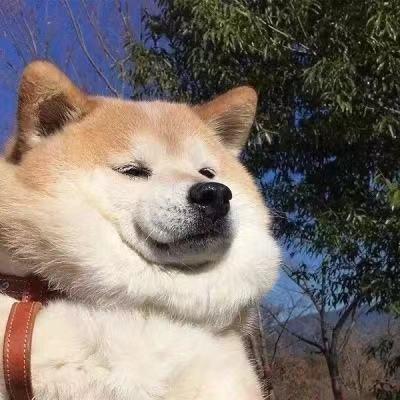 更木
