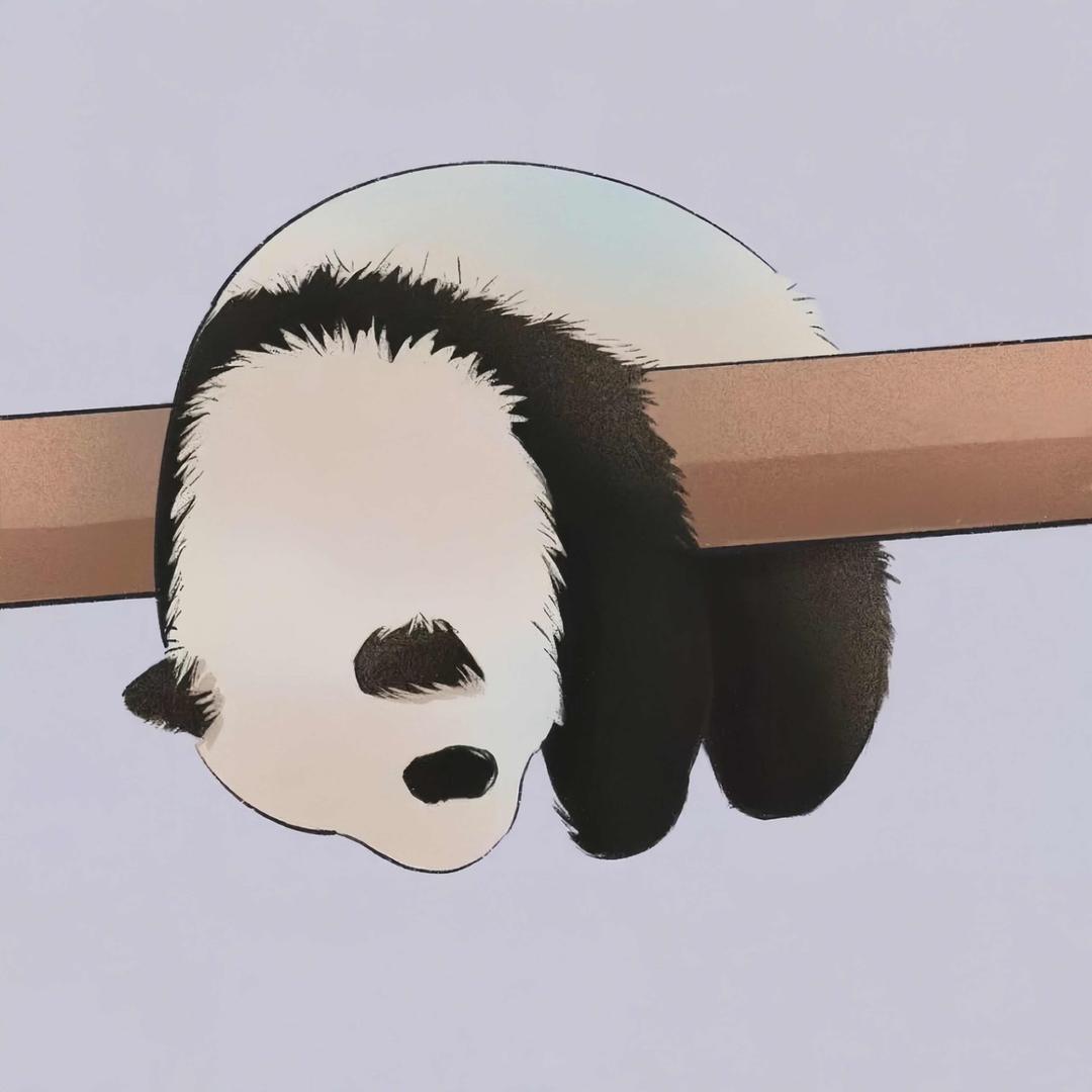 熊猫大王的五角星