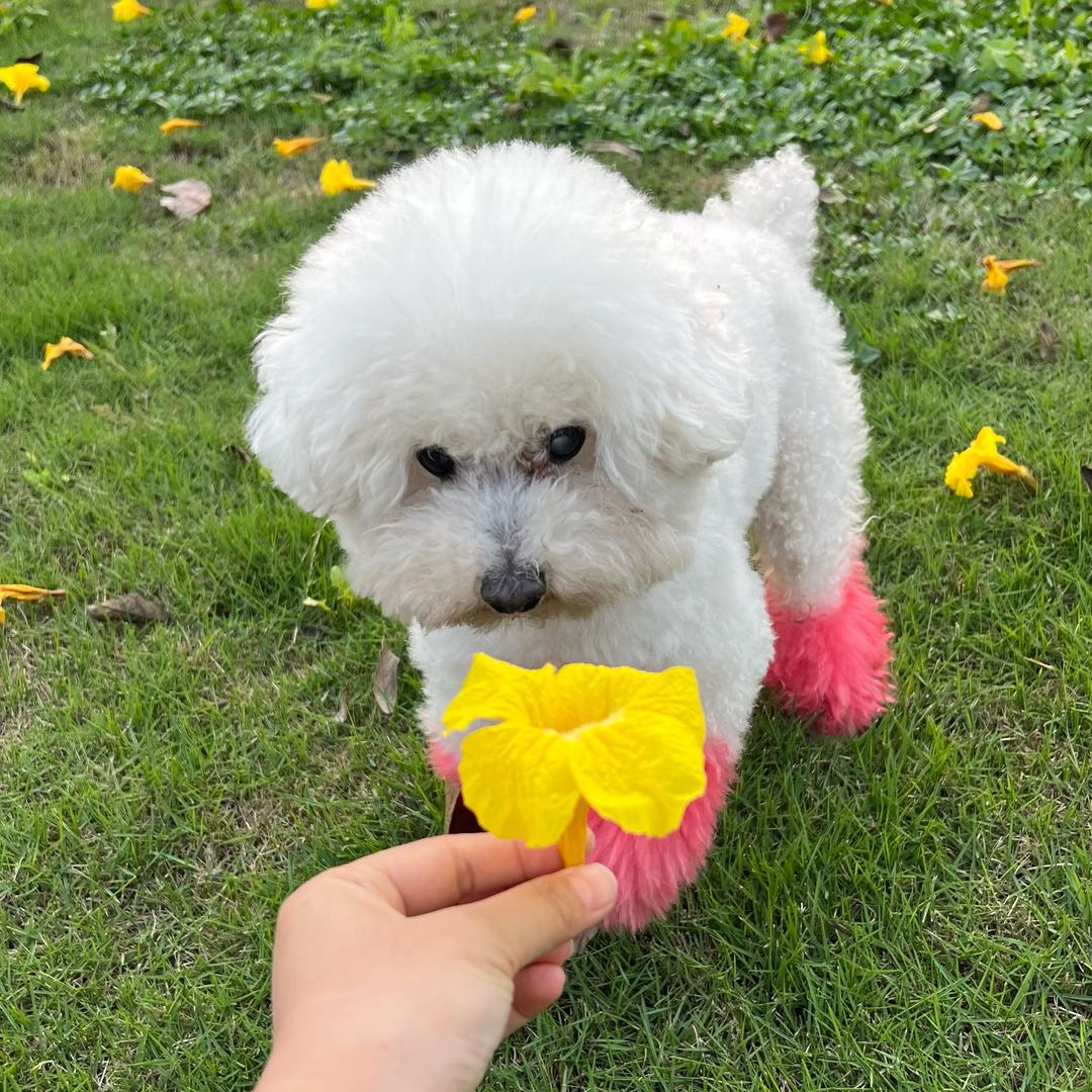 ☀️雷扯扯东西多☀️