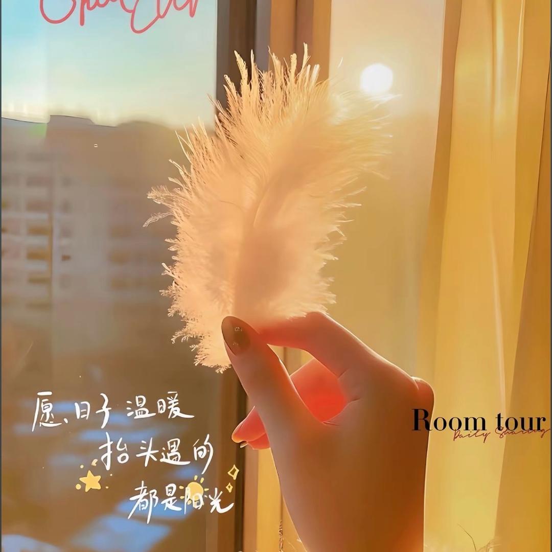 全心全意小天鹅