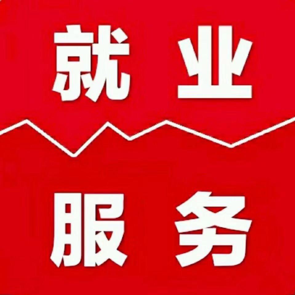 酒泉找工作