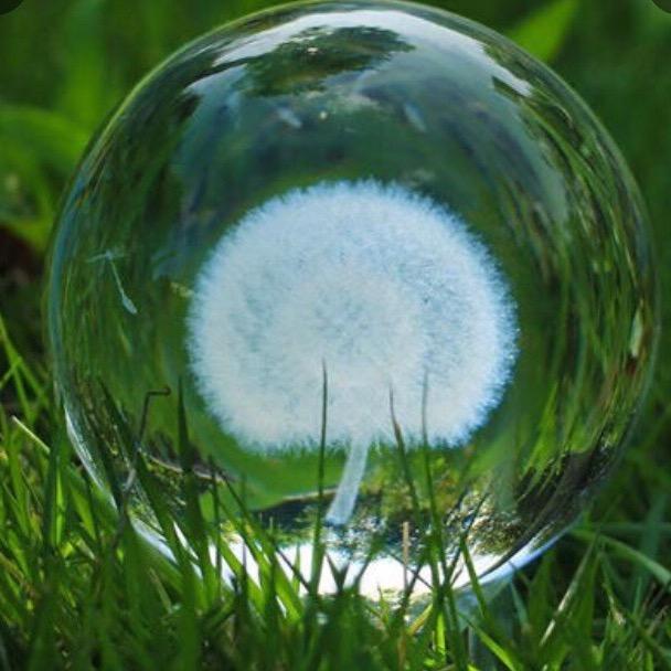 燕姐，，🎈🎈🌿🌿