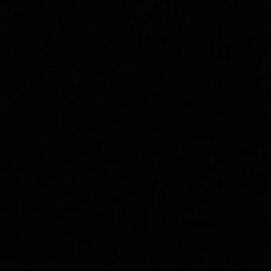 悲观与泪