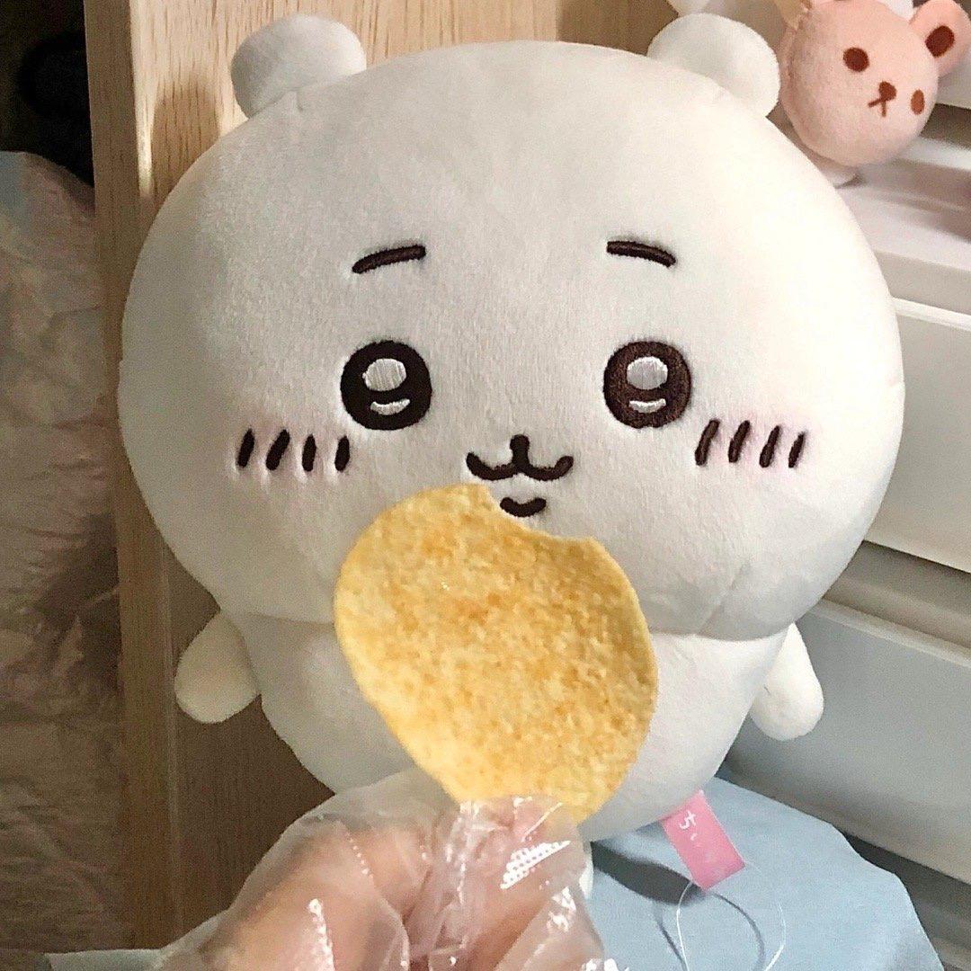 次饱饱