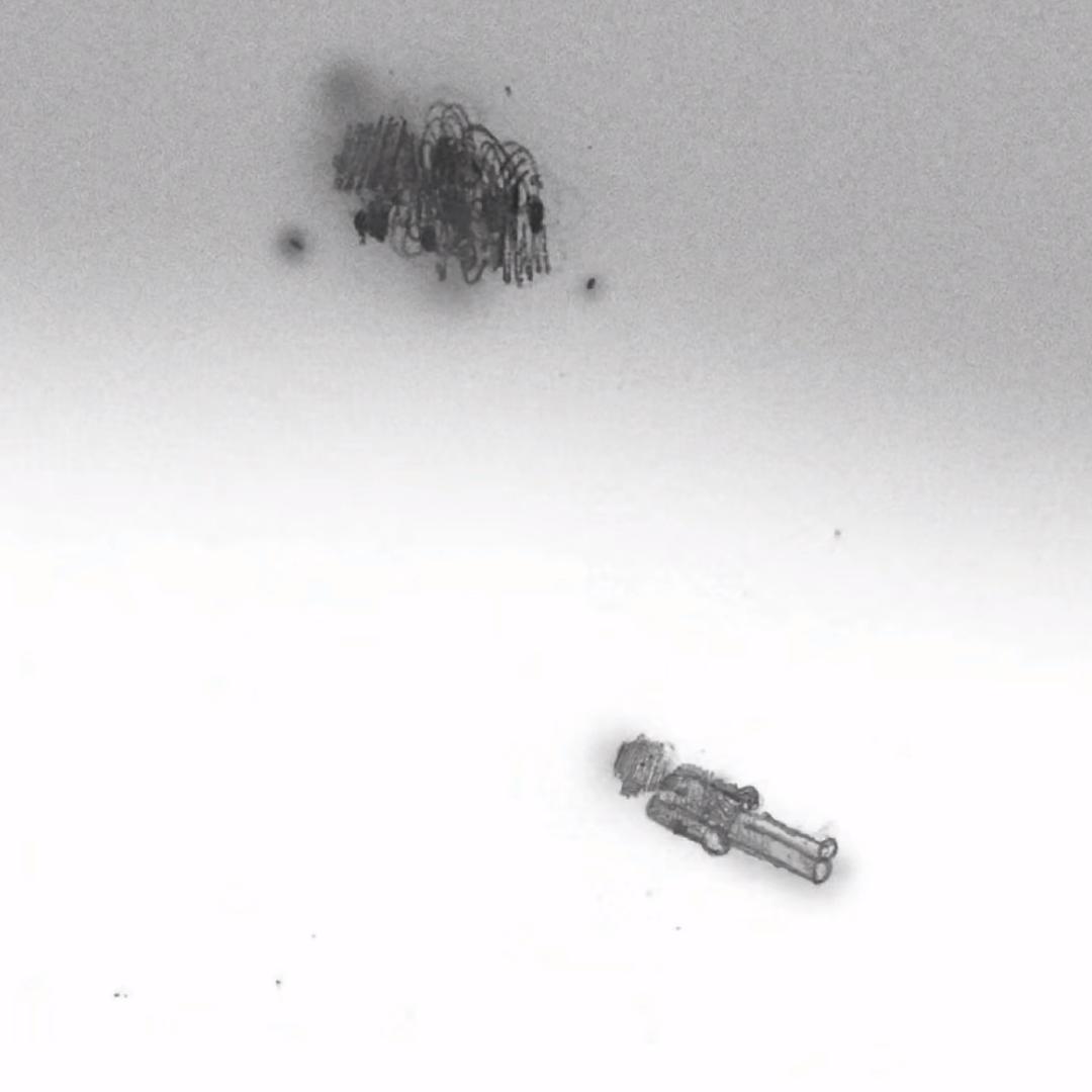 不会骂人的张某