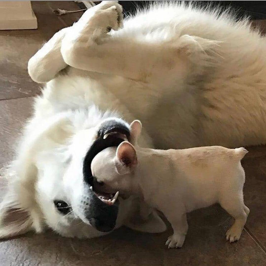 ahh