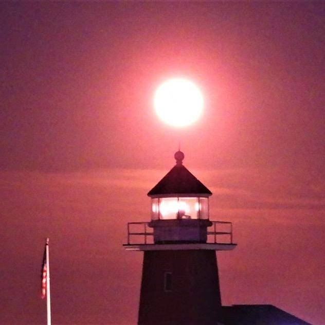 知知产权蒋老师