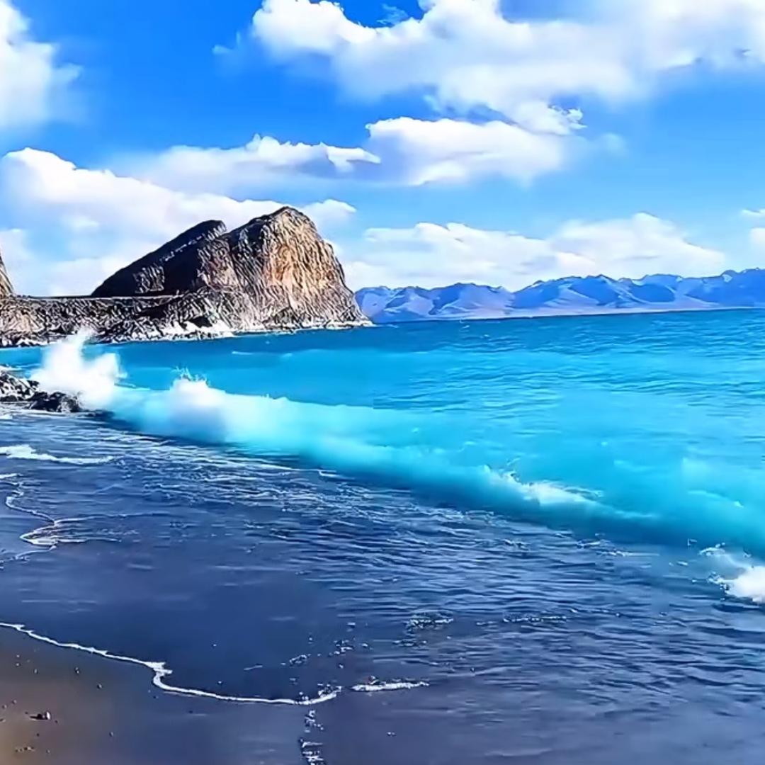 显眼包.