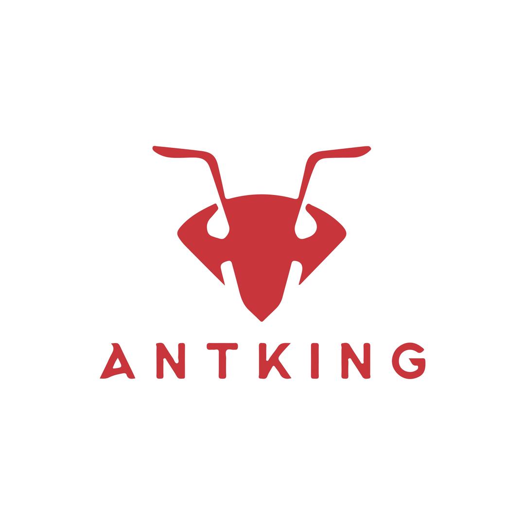 ANTKING蚁王