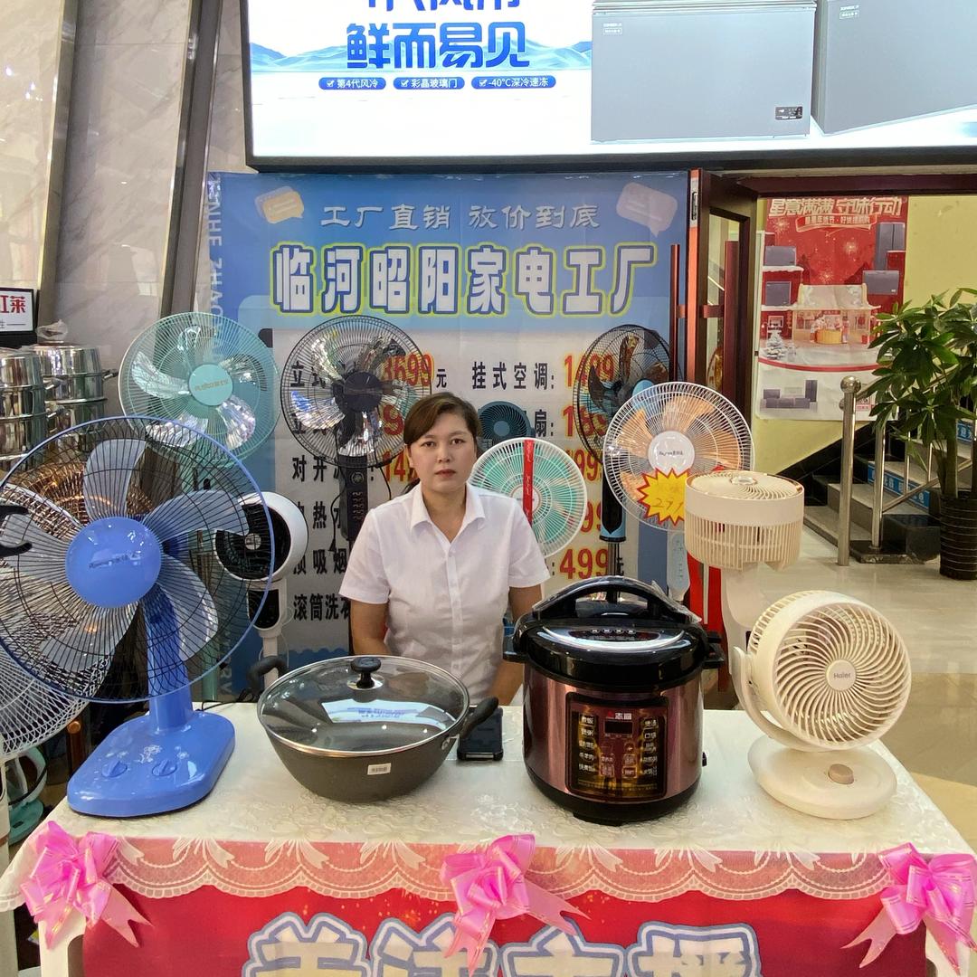王娜·临河昭阳家电工厂