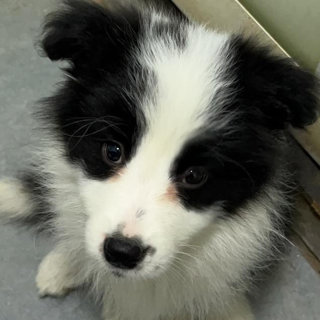 我认为宇宙是一个巨大的战斗爽