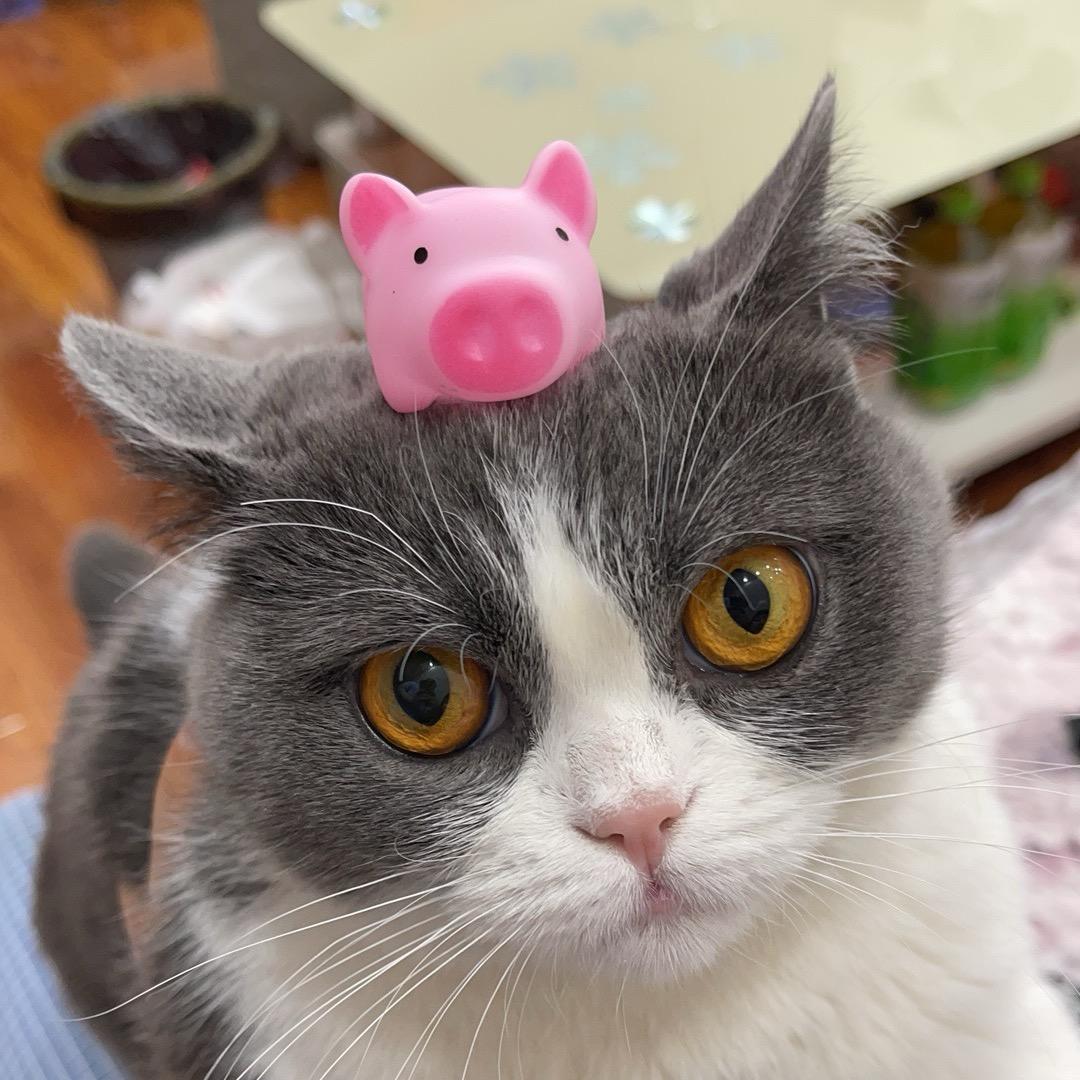 那些年