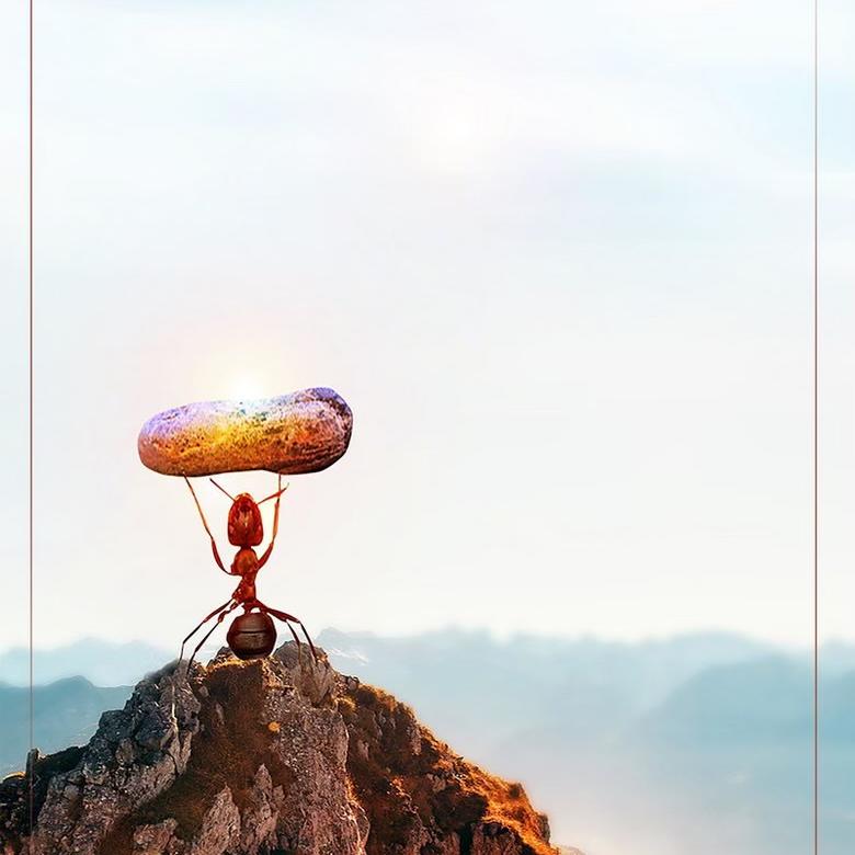 宏玮淦（小陈总鼎晟）