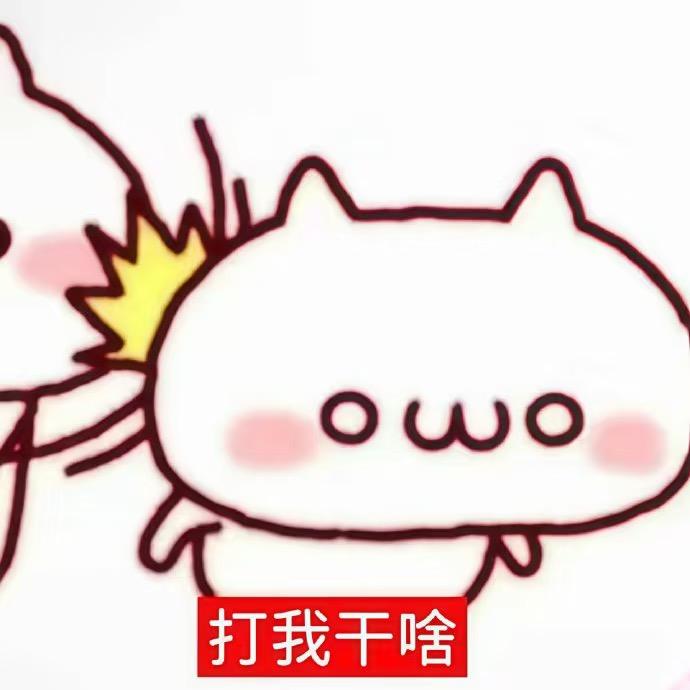 我需要一个宽肩（四连to