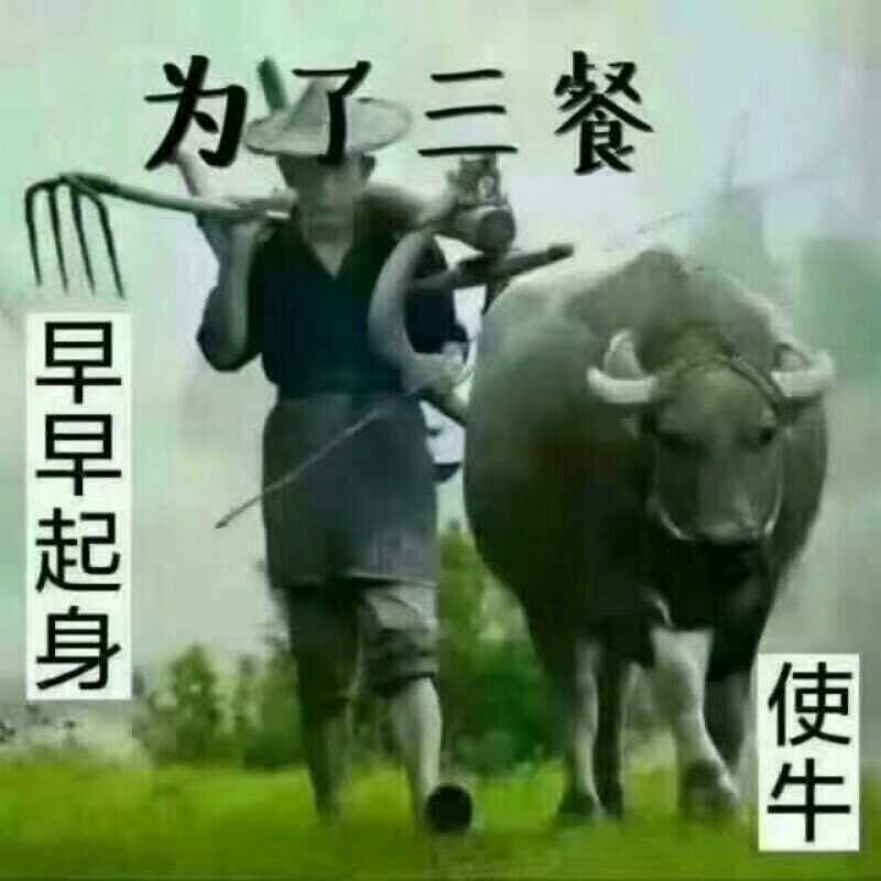张大叔