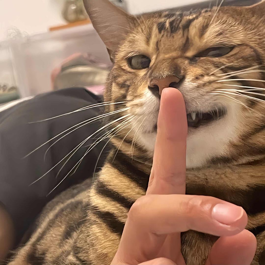圆华