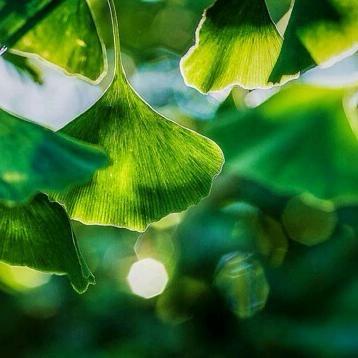 那一夏你我