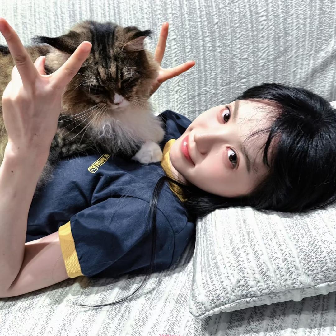 别告别.