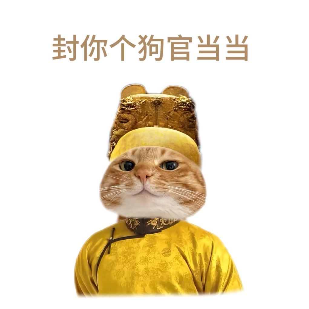小兔大王