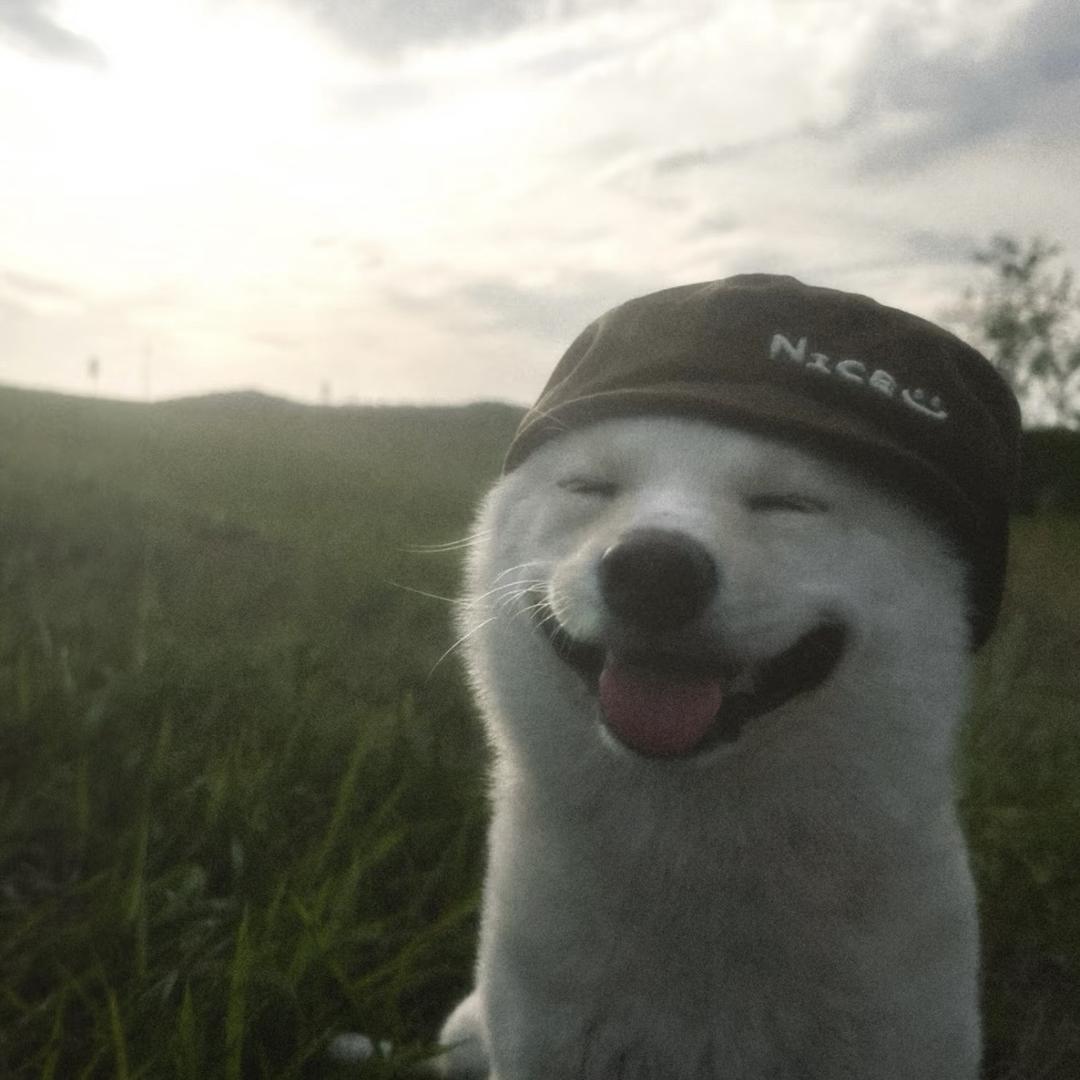 沛