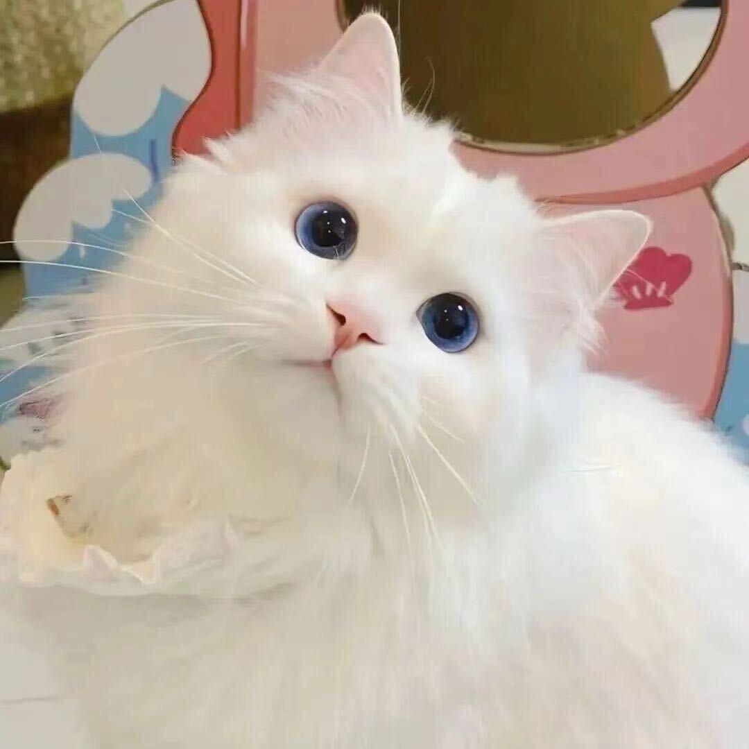 涵涵o
