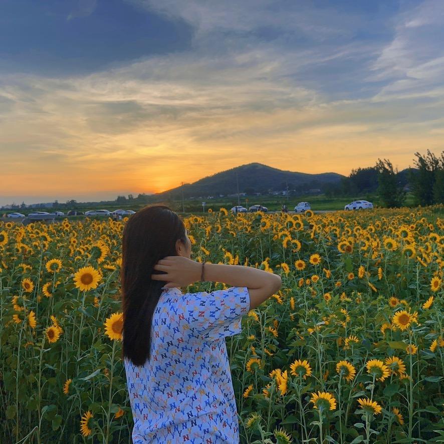 ☀️小旺崽