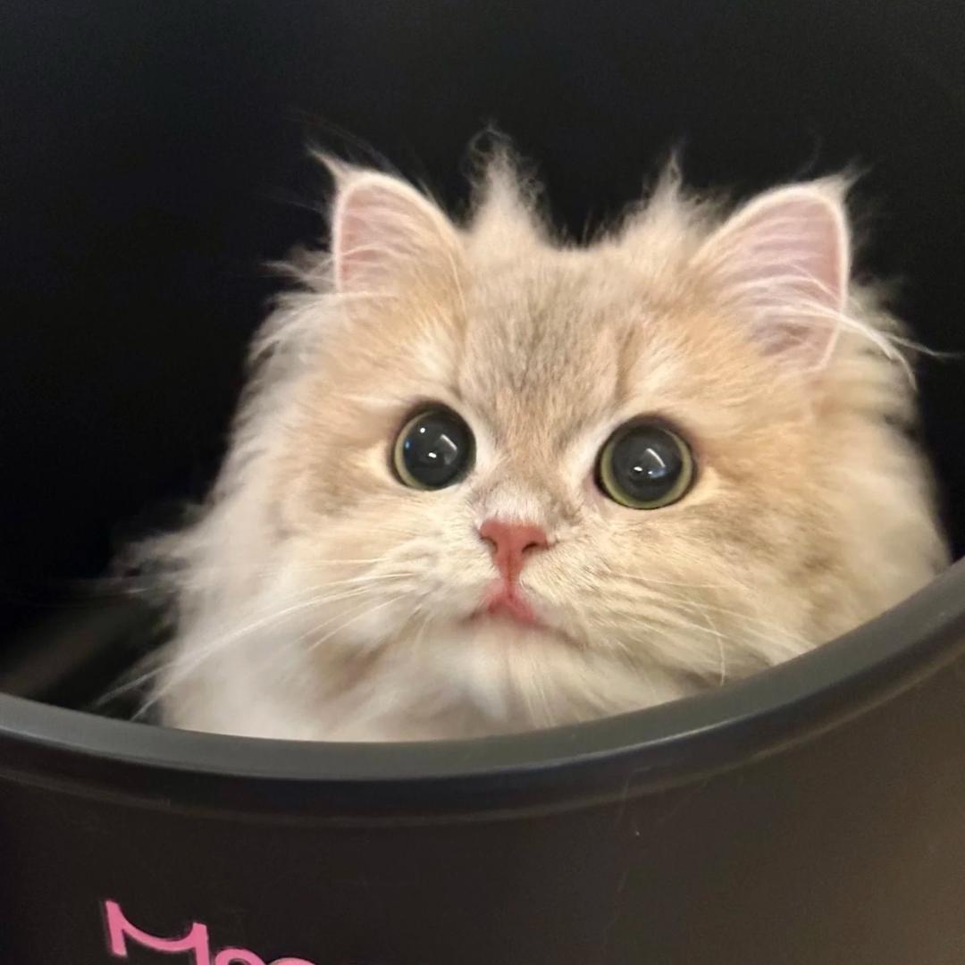 一个于