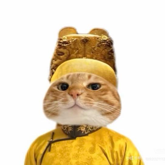 周周不可以躺平