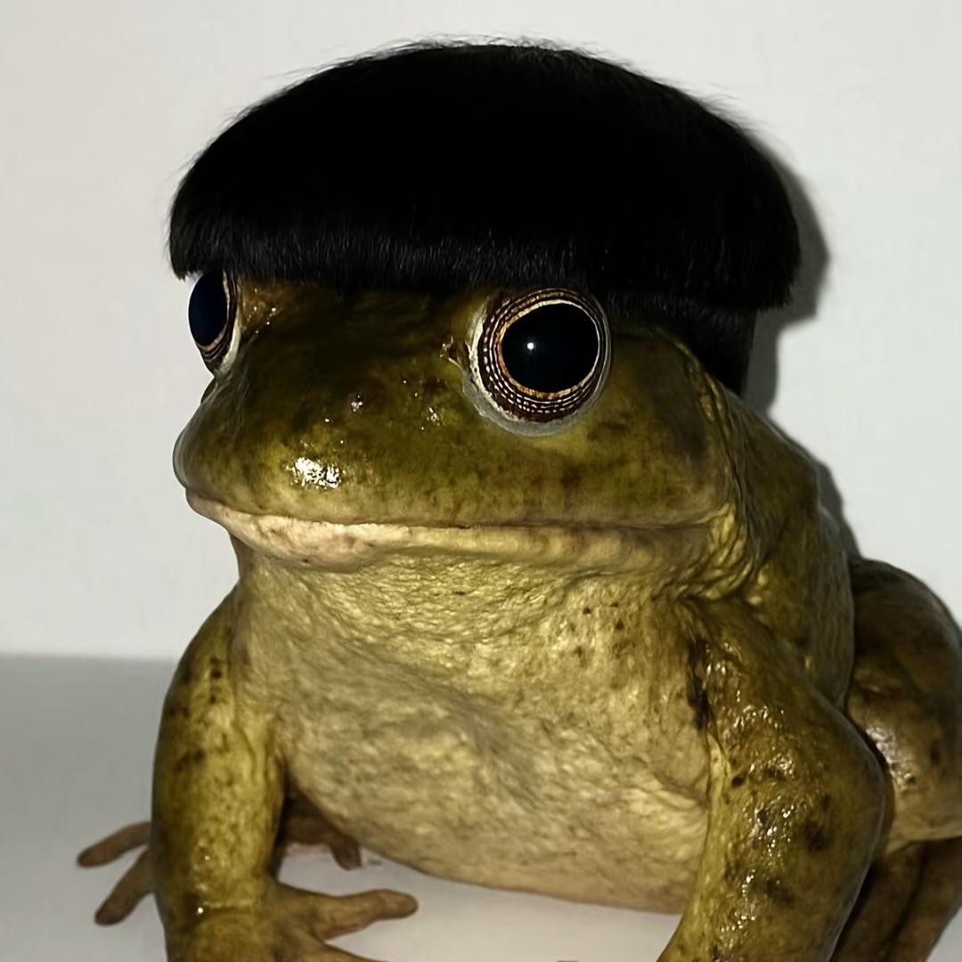 蜉蝣.