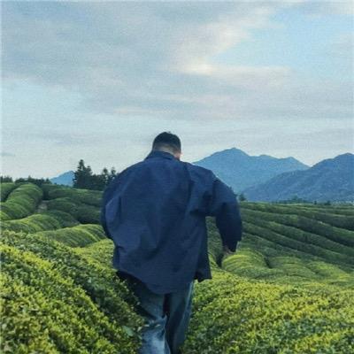橙子图文广告(泰美国际店)阿瑟发沃尔直播号