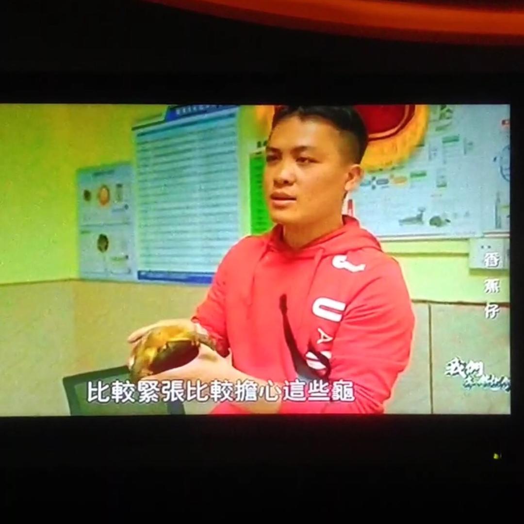 宇顺萌宠