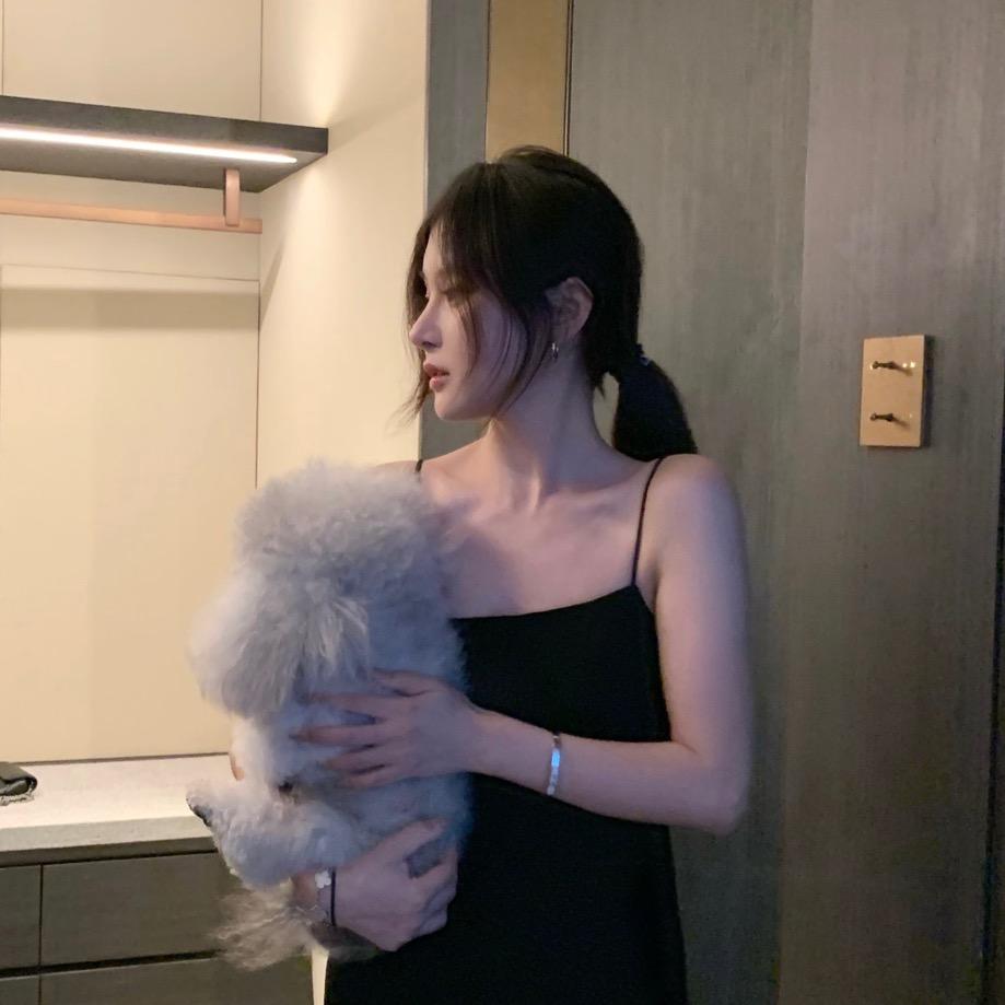 豆豆早安