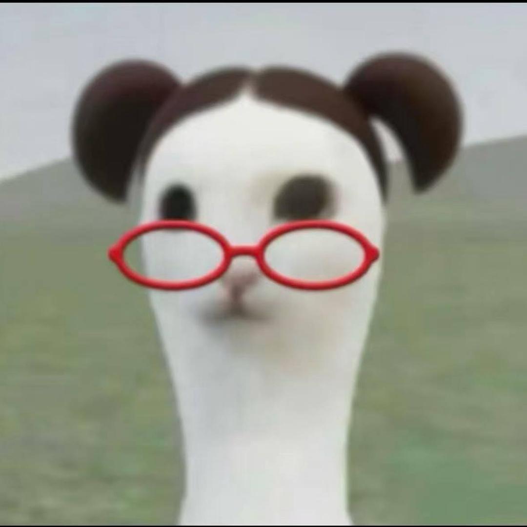 。。