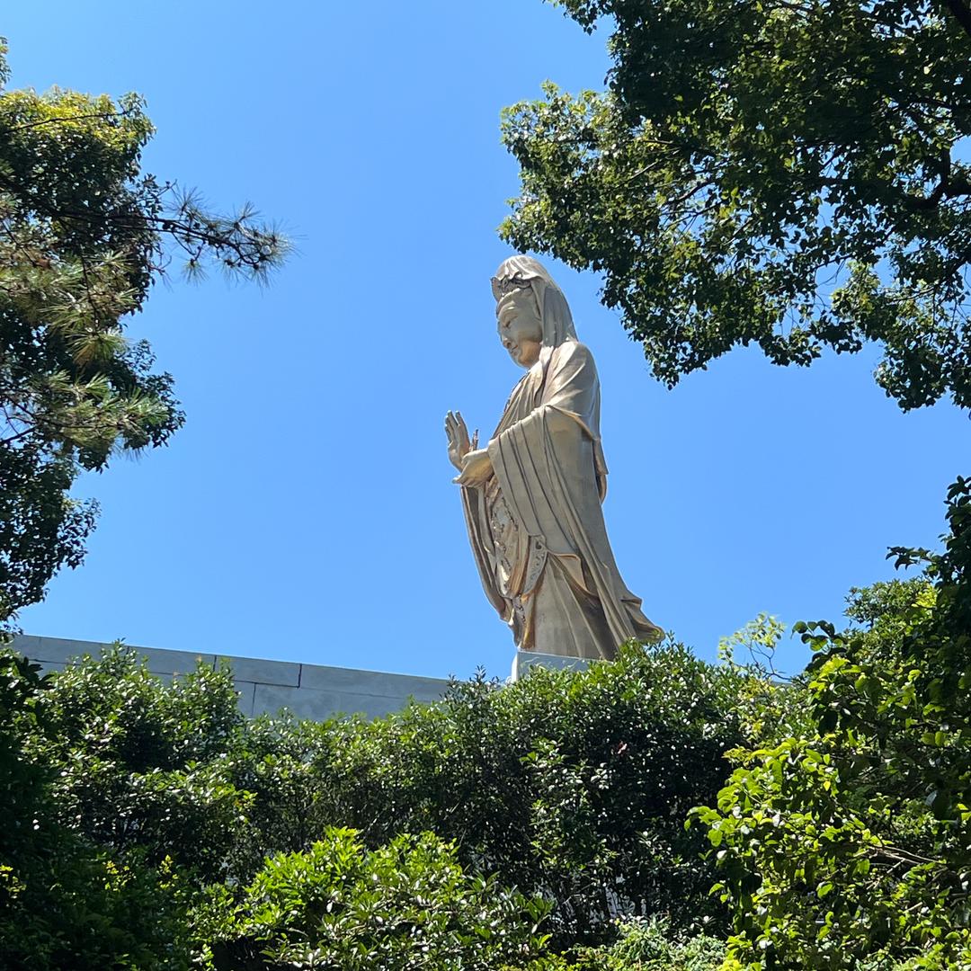 榴莲也有TA🉐想法