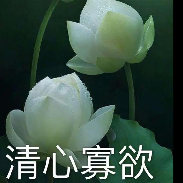 明年今日