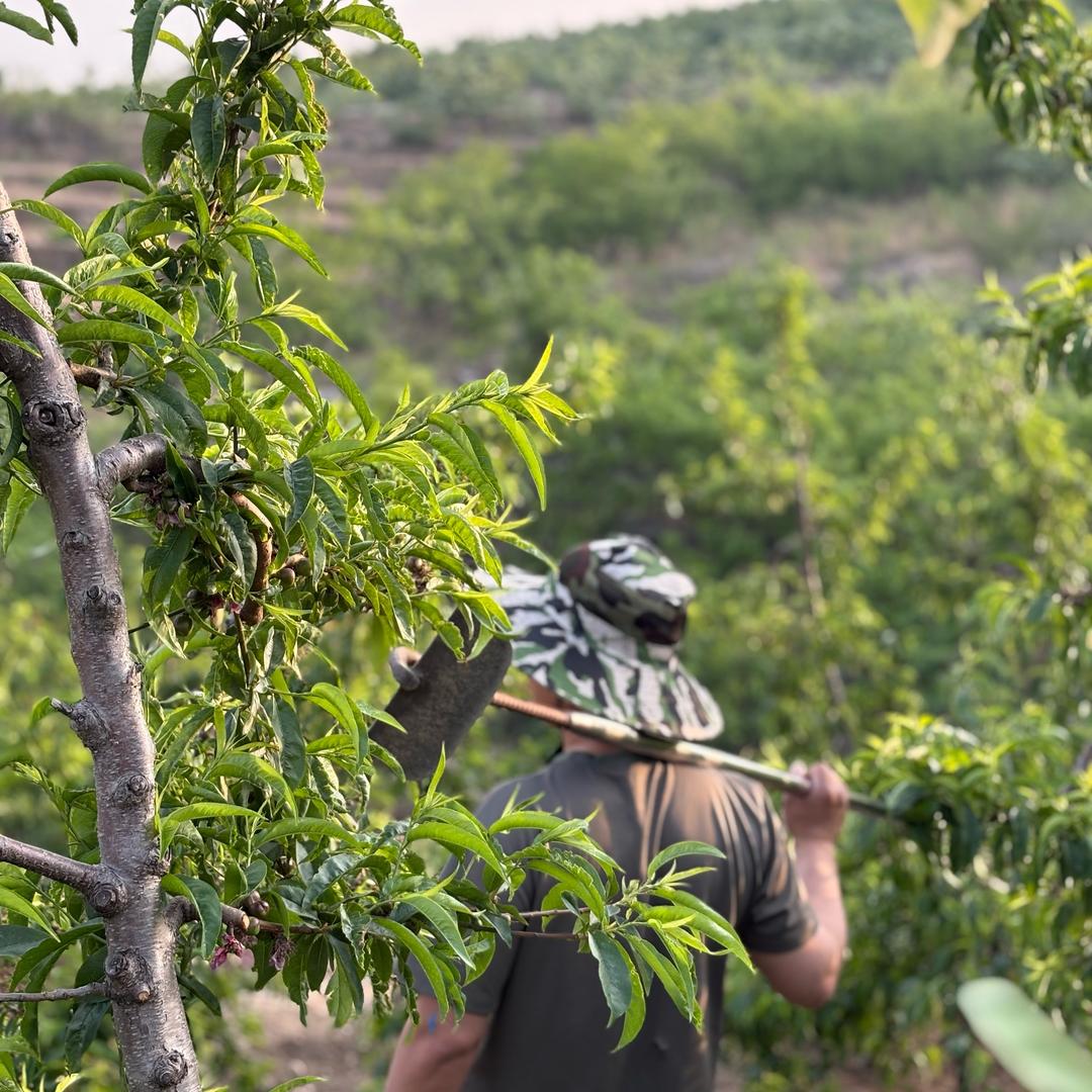 沂蒙农掌柜的小店