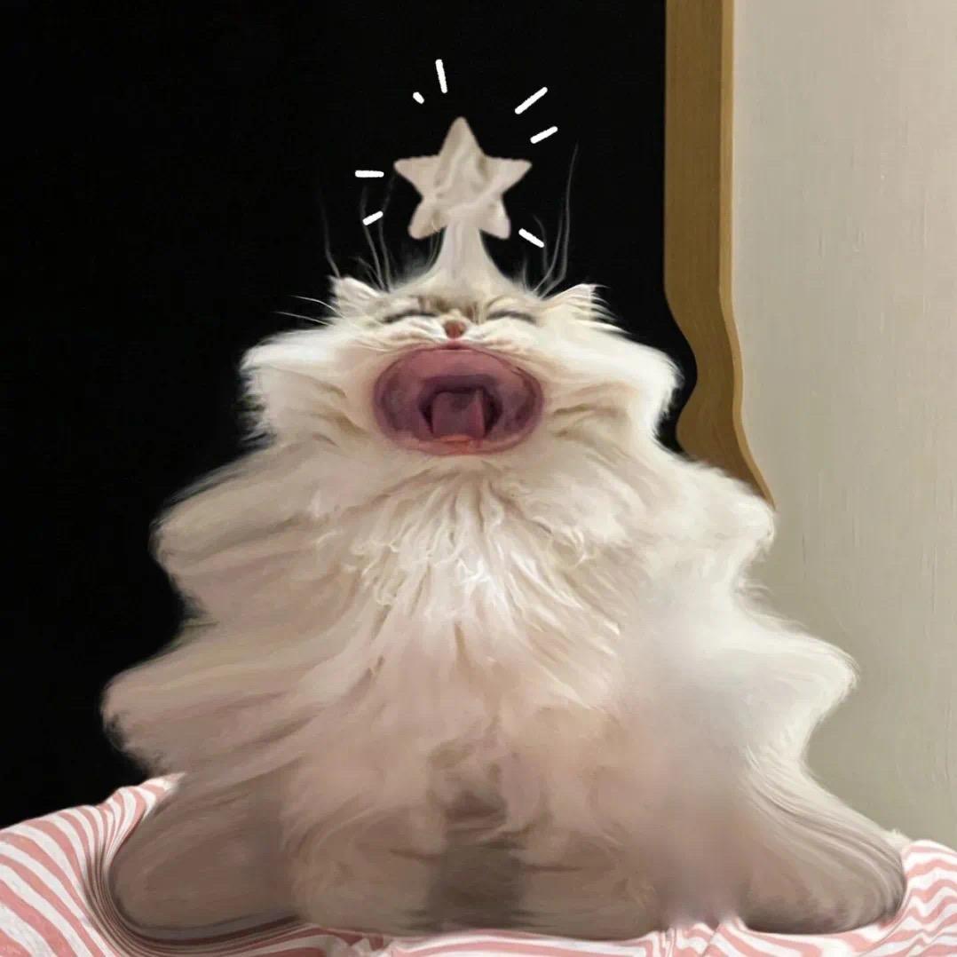 小邱睡不醒💤