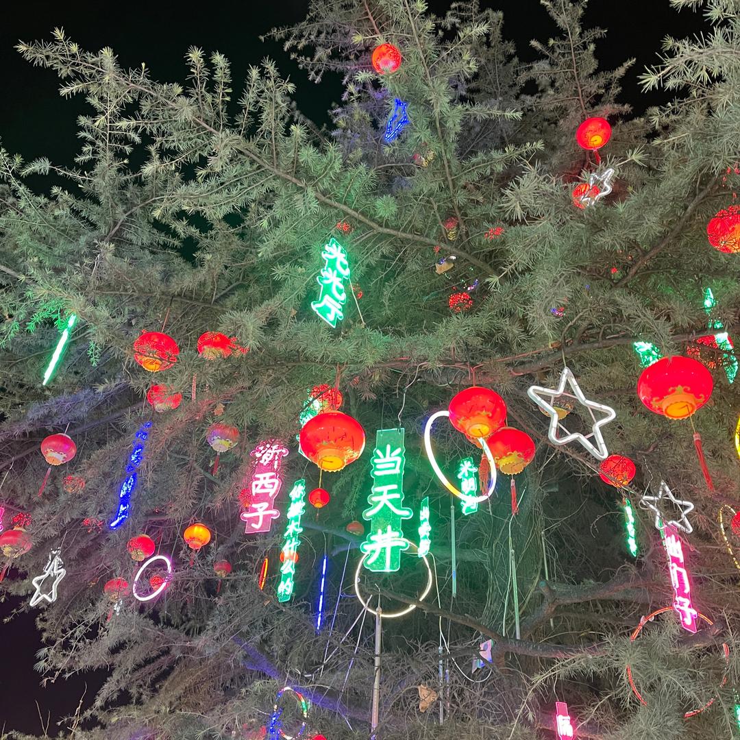 2025 ❤️越来越好