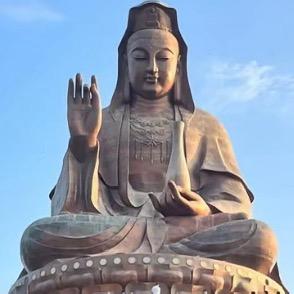 禹雅宸