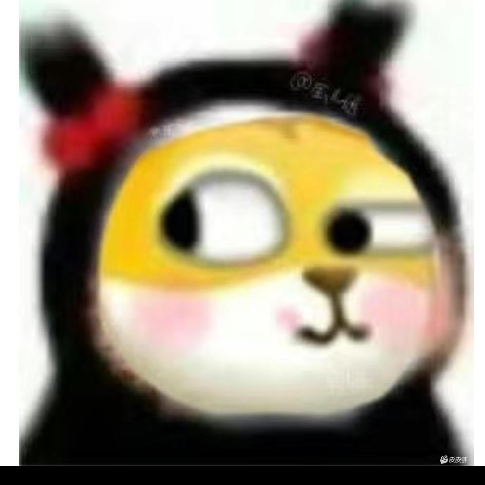 珠江喵