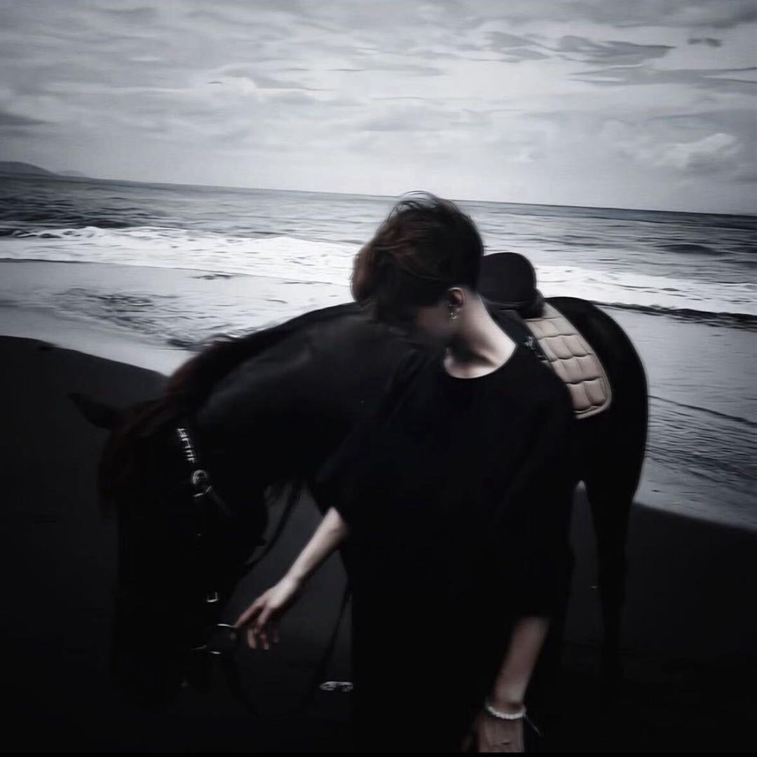 被十面埋伏的tao.