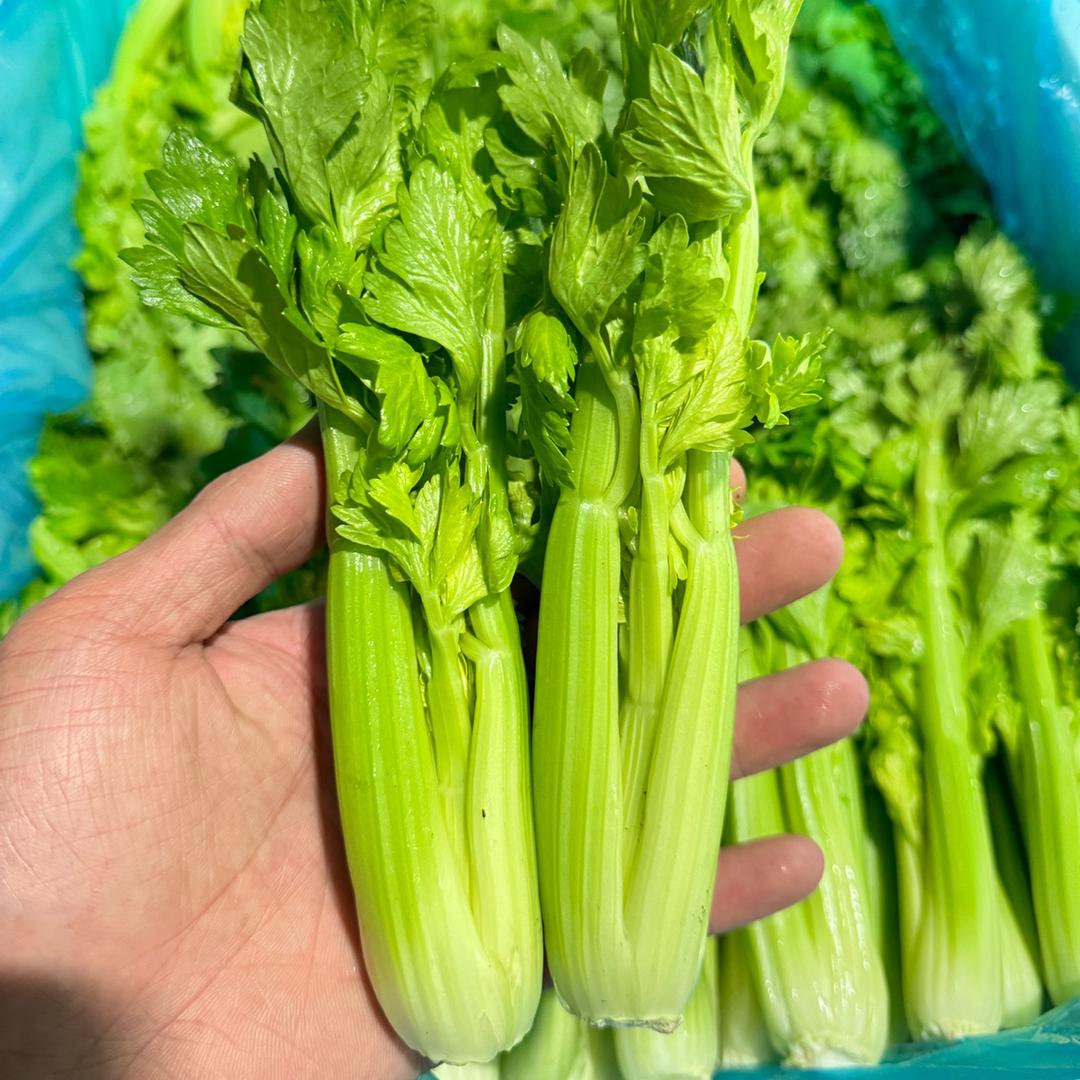 酒楼精品特色蔬菜供应商