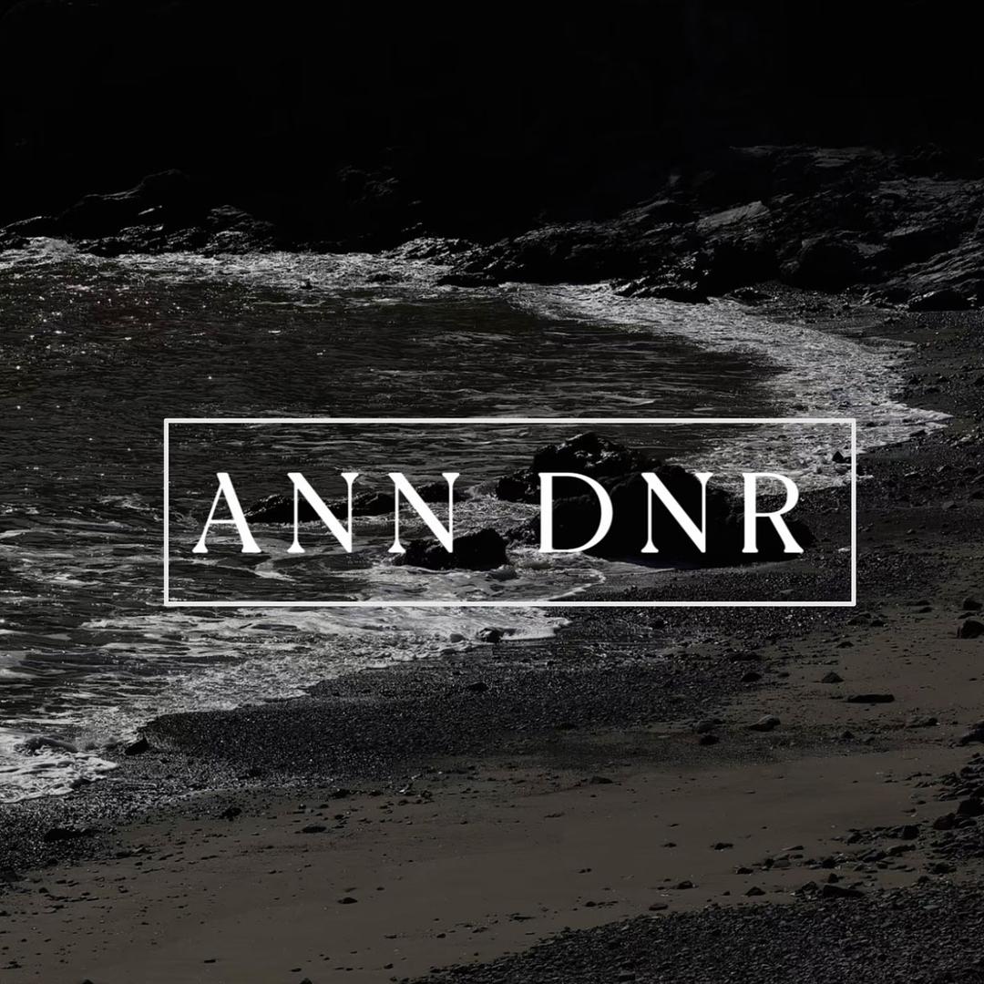 ANN DNR