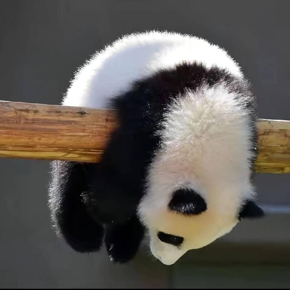 @@何