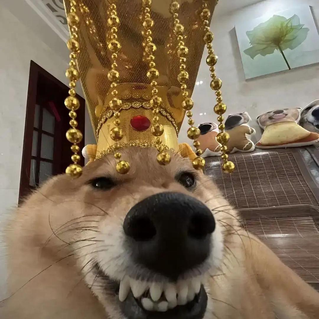 cheemer