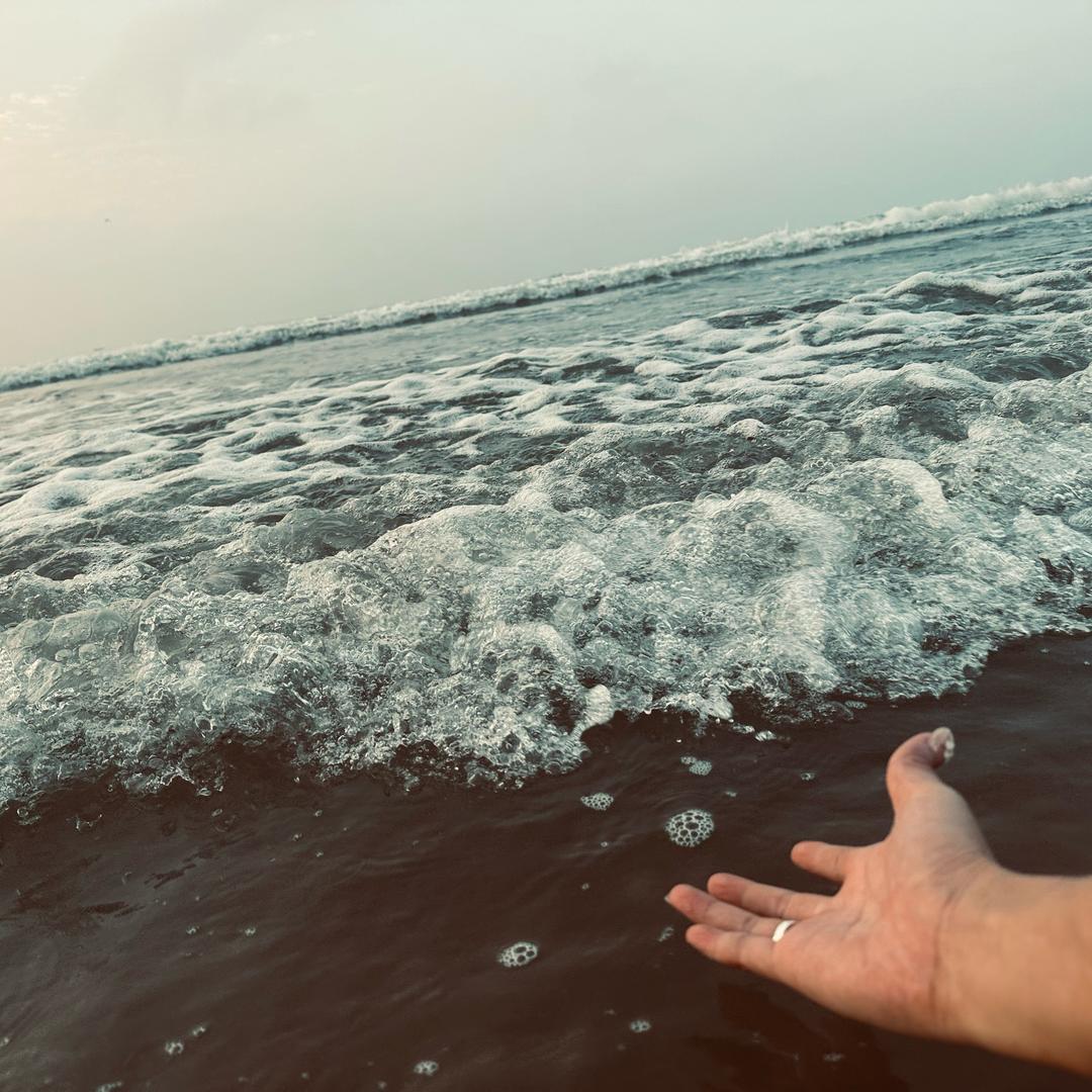 鸿诚优品(诚信批发)